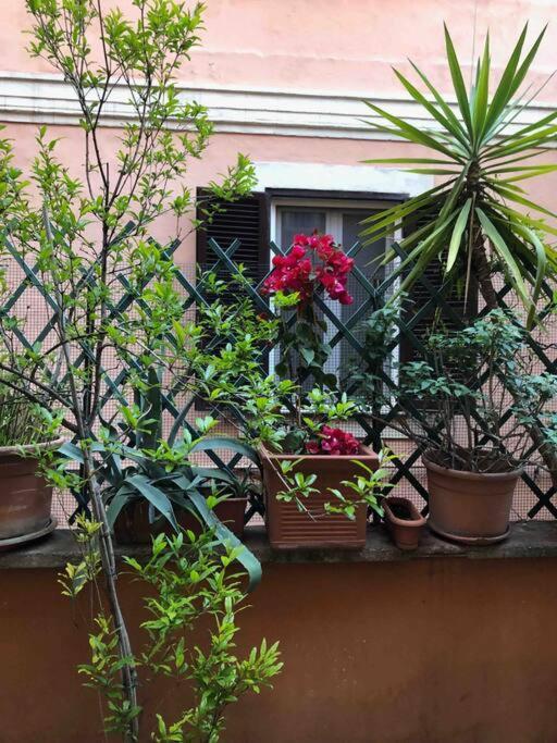 Centro Storico Appartamento Con Terrazza Rome Buitenkant foto